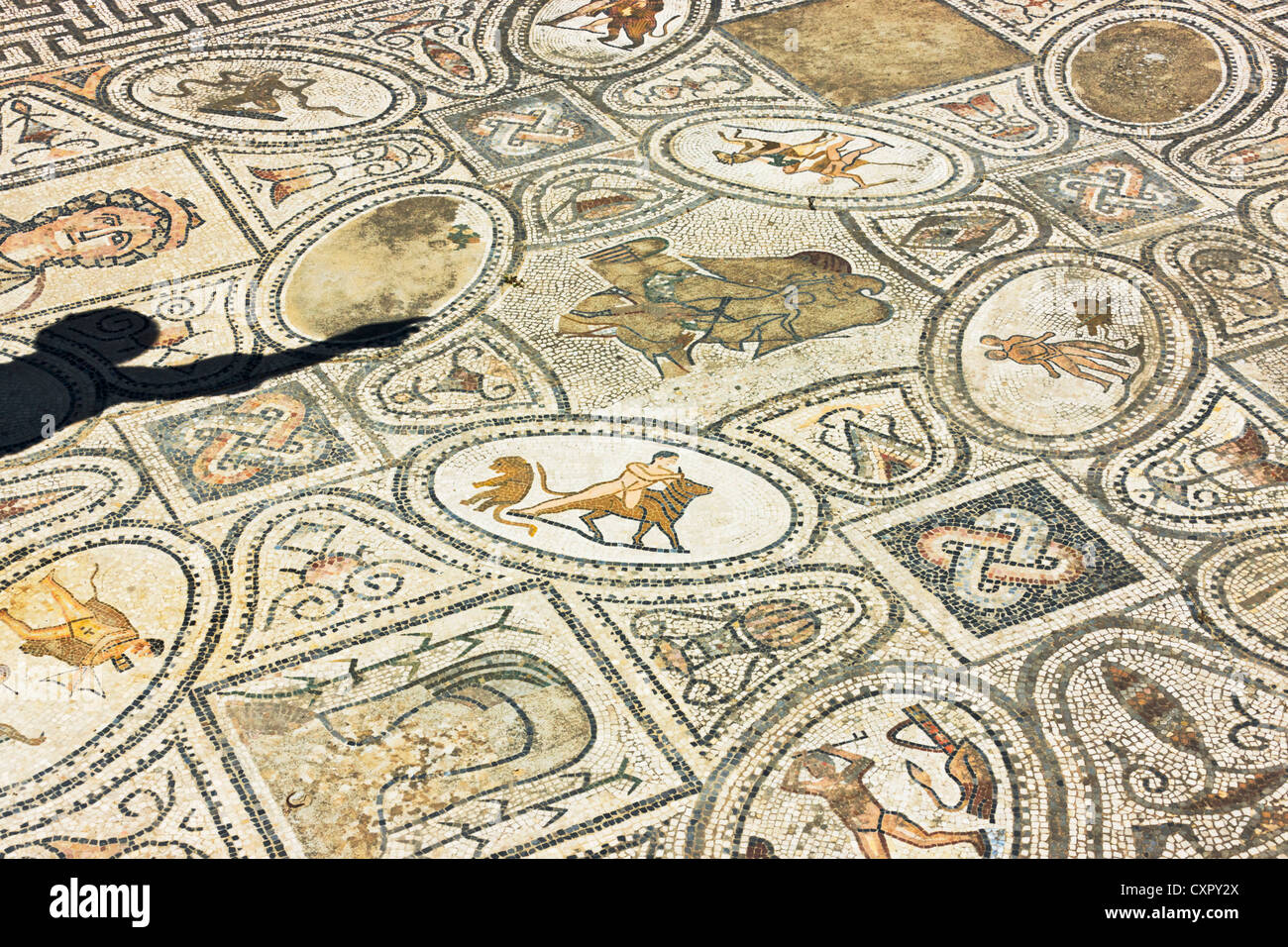 Mosaico sul pavimento, rovine romane, elencato come sito del Patrimonio Culturale Mondiale dell UNESCO, Volubilis, Marocco Foto Stock