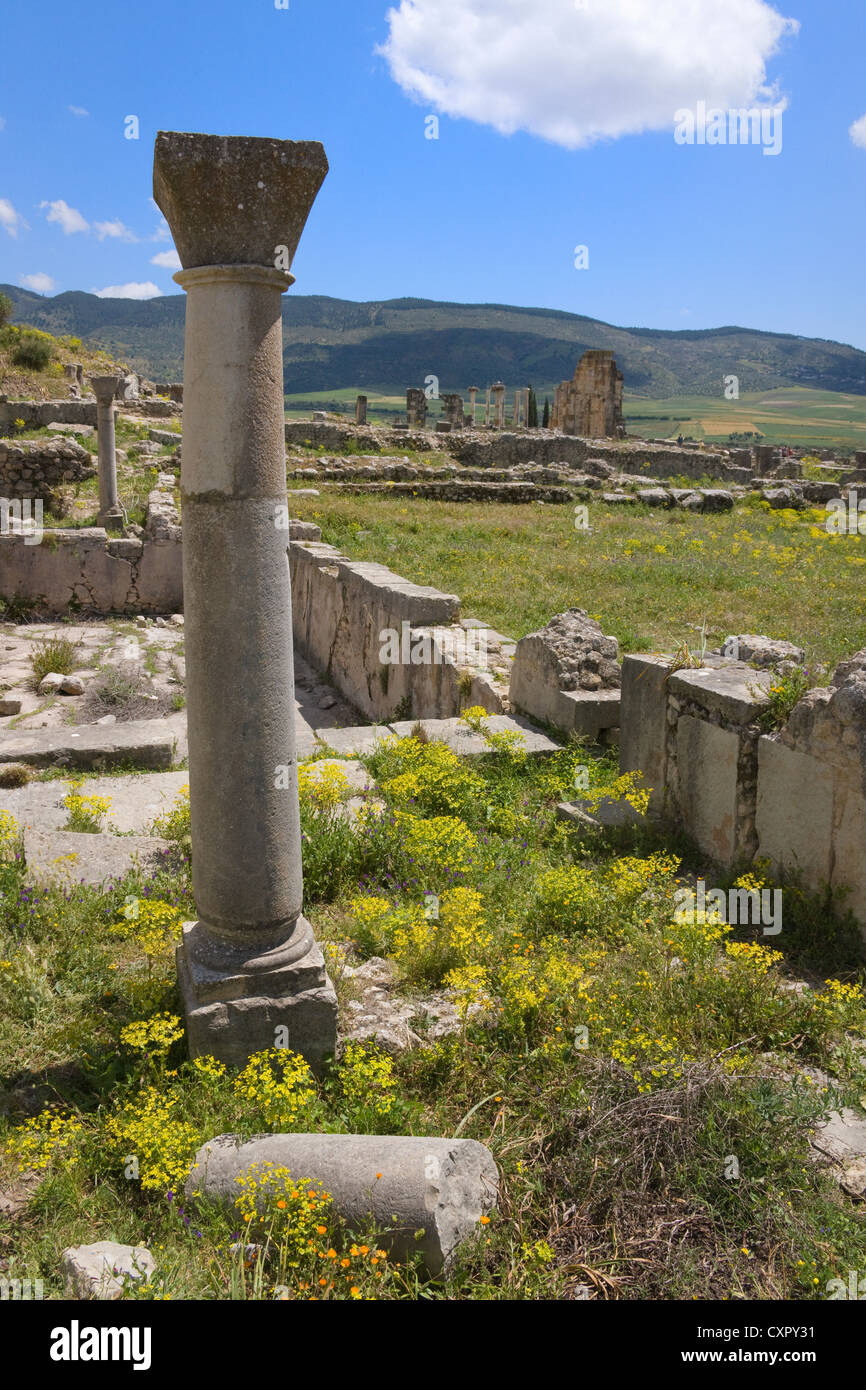 Le rovine romane, elencato come sito del Patrimonio Culturale Mondiale dell UNESCO, Volubilis, Marocco Foto Stock