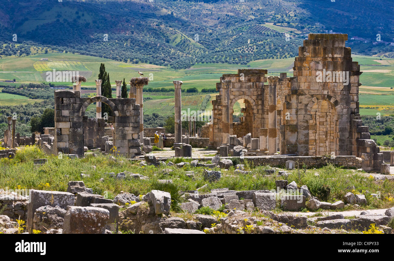 Le rovine romane, elencato come sito del Patrimonio Culturale Mondiale dell UNESCO, Volubilis, Marocco Foto Stock