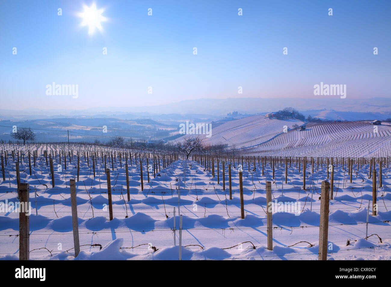 Vista sui vigneti sulle colline innevate sotto il cielo azzurro con il sole splendente in inverno in Piemonte, Italia settentrionale. Foto Stock