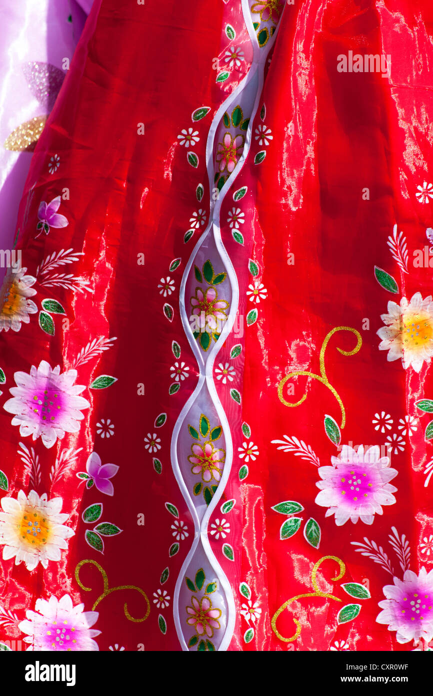Popoli democratici la Repubblica di Corea (DPRK), la Corea del Nord, Hamhung, colorati costumi tradizionali Foto Stock
