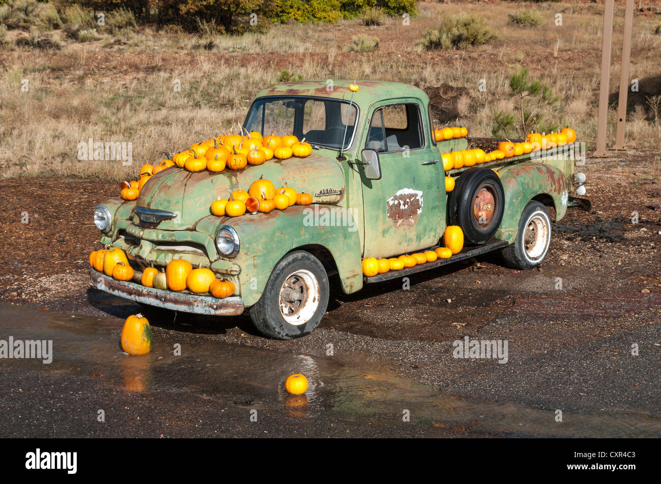 Auto d'epoca, decorato con zucche di Halloween, Zion National Park Visitor Center, Utah, Stati Uniti d'America Foto Stock