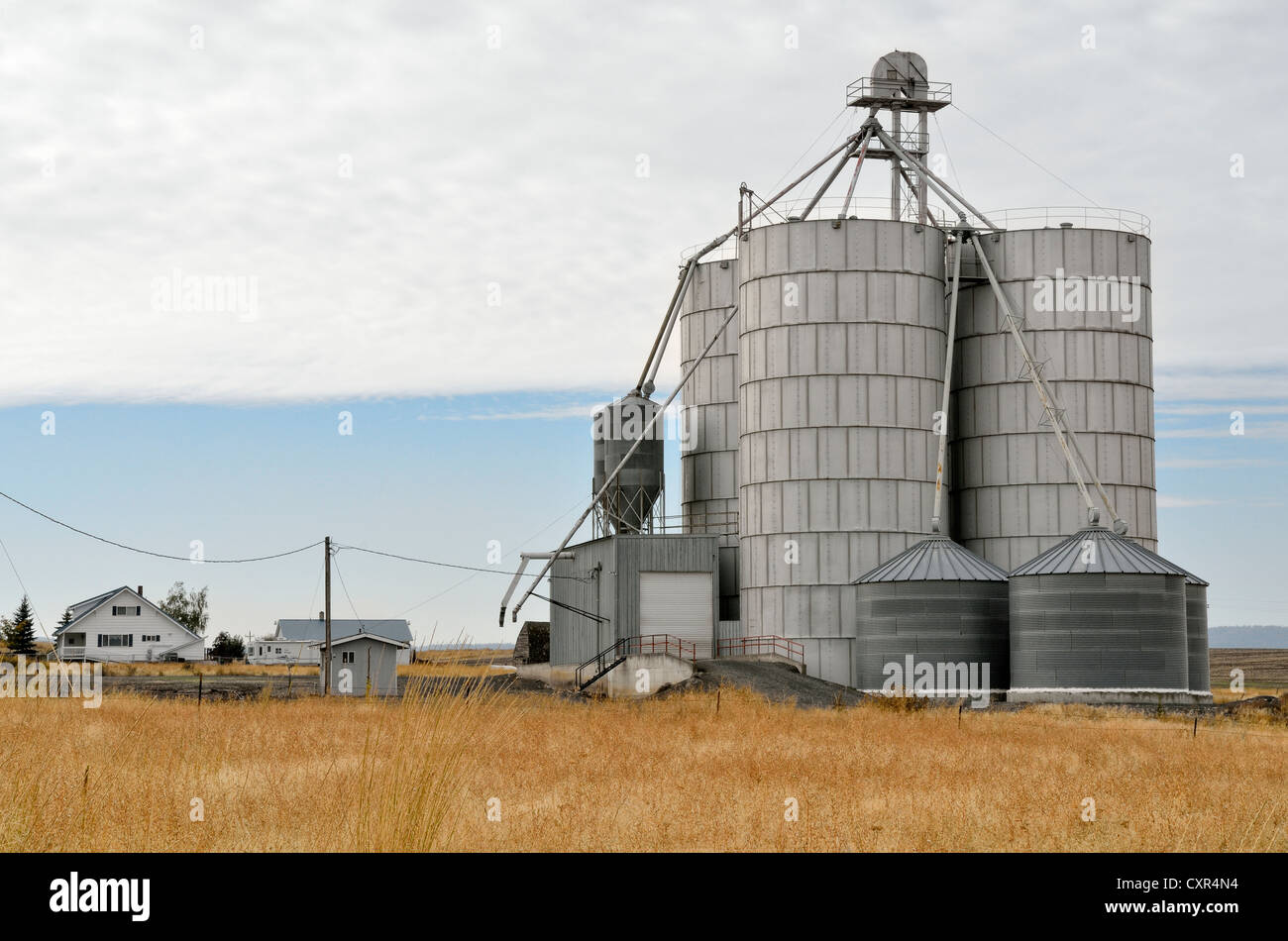 Silos per il grano, Anatone, Highway 129, Washington, Stati Uniti d'America Foto Stock