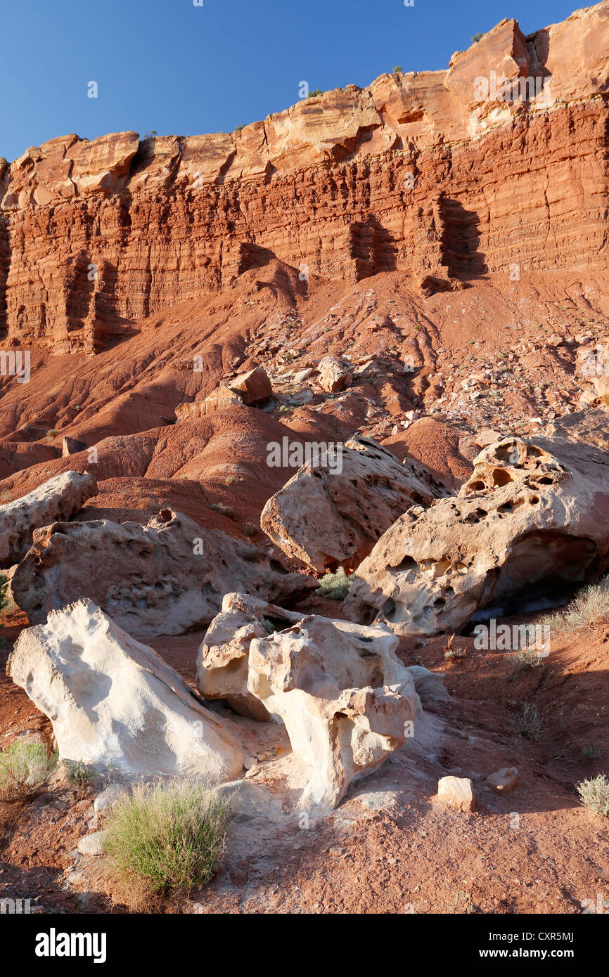Tafoni o gelo, agenti atmosferici, erosione a Capitol Reef National Park nello Utah, Stati Uniti d'America Foto Stock