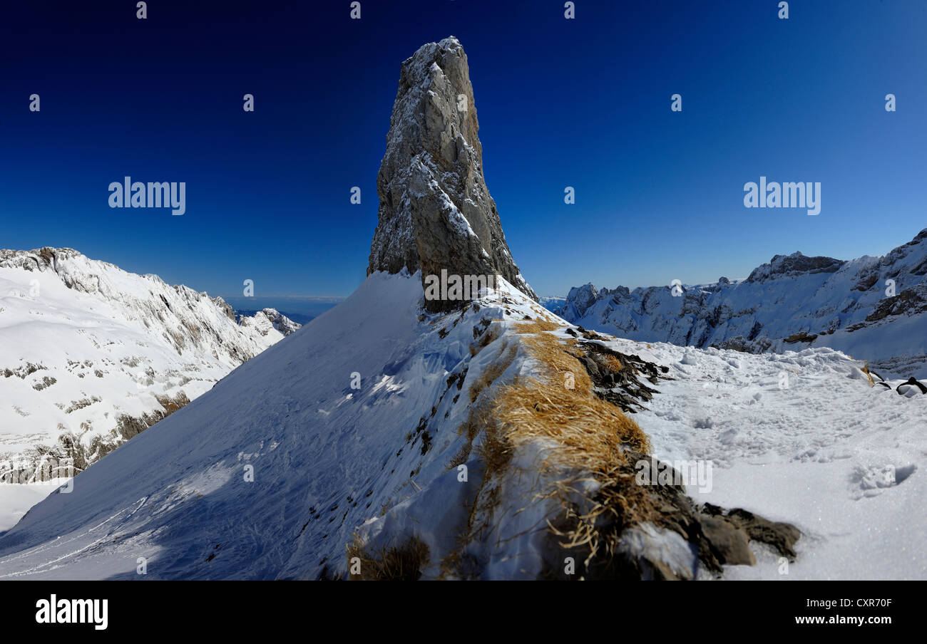 Picco di montagna, vista panoramica delle montagne, Saentis montagna, Wildhaus, Appenzell, Svizzera, Europa Foto Stock