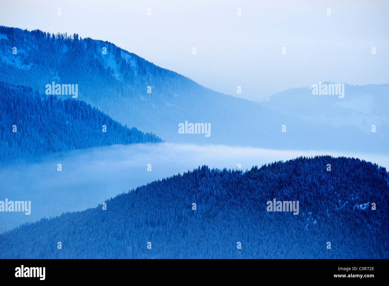 Picchi di montagna con un mare di nebbia al tramonto, Pfronten, Allgaeu, Baviera, Germania, Europa Foto Stock