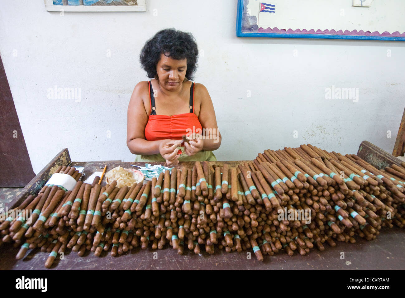 Uno dei più di cento lavoratori nella fabrica de Tabaco Carlos Rodriguez Cariaga fabbrica di sigari, mettendo le etichette sui sigari Foto Stock