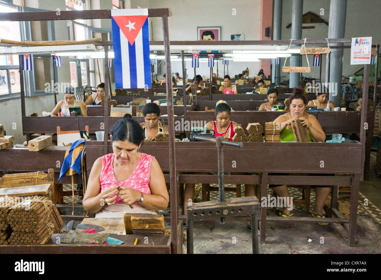 Alcuni dei più di cento lavoratori nella fabrica de Tabaco Carlos Rodriguez Cariaga fabbrica di sigari, Ciego de Avila, Cuba Foto Stock