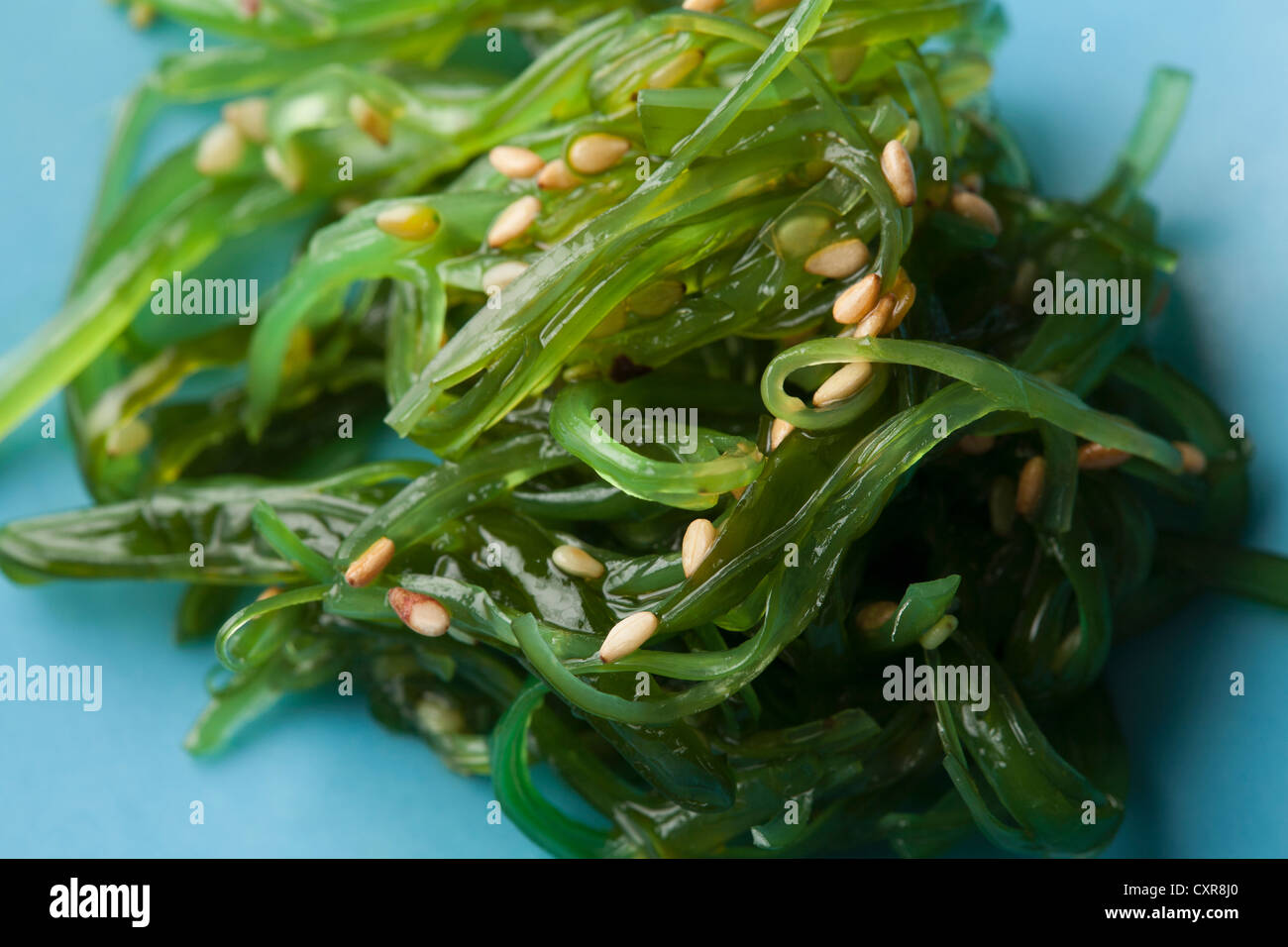 Dettaglio di insalata di alghe marine Foto Stock