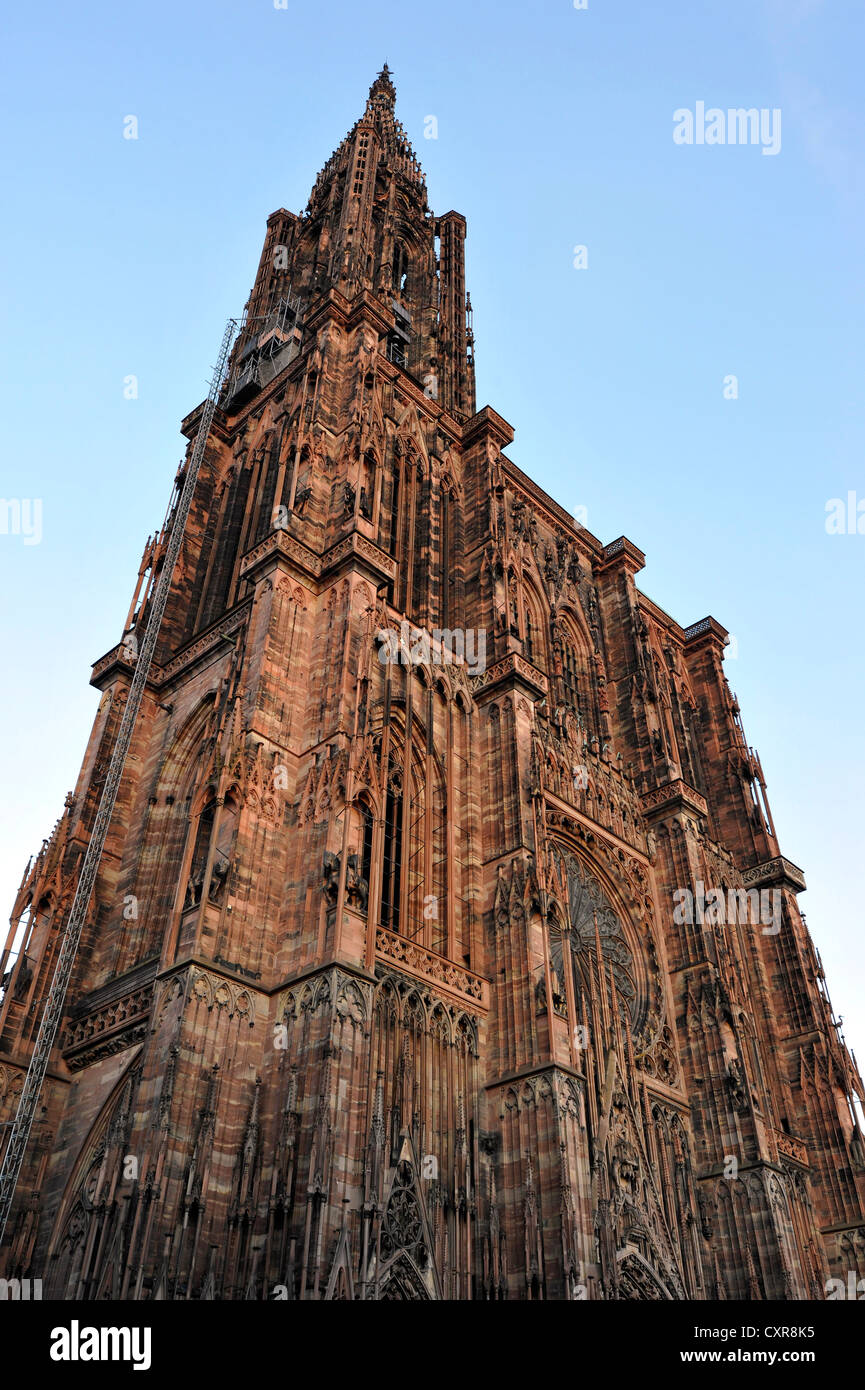 Vista del nord-ovest della facciata, la cattedrale di Strasburgo, Cattedrale di Nostra Signora di Strasburgo, Strasburgo, Bas-Rhin département Foto Stock