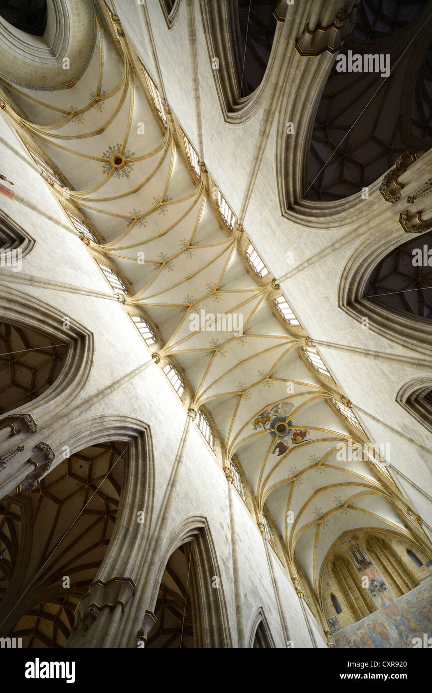 I soffitti a volta, vista del soffitto, chiesa, navata, vista interna, Ulmer Muenster, Ulm Minster, Ulm, Baden-Wuerttemberg Foto Stock