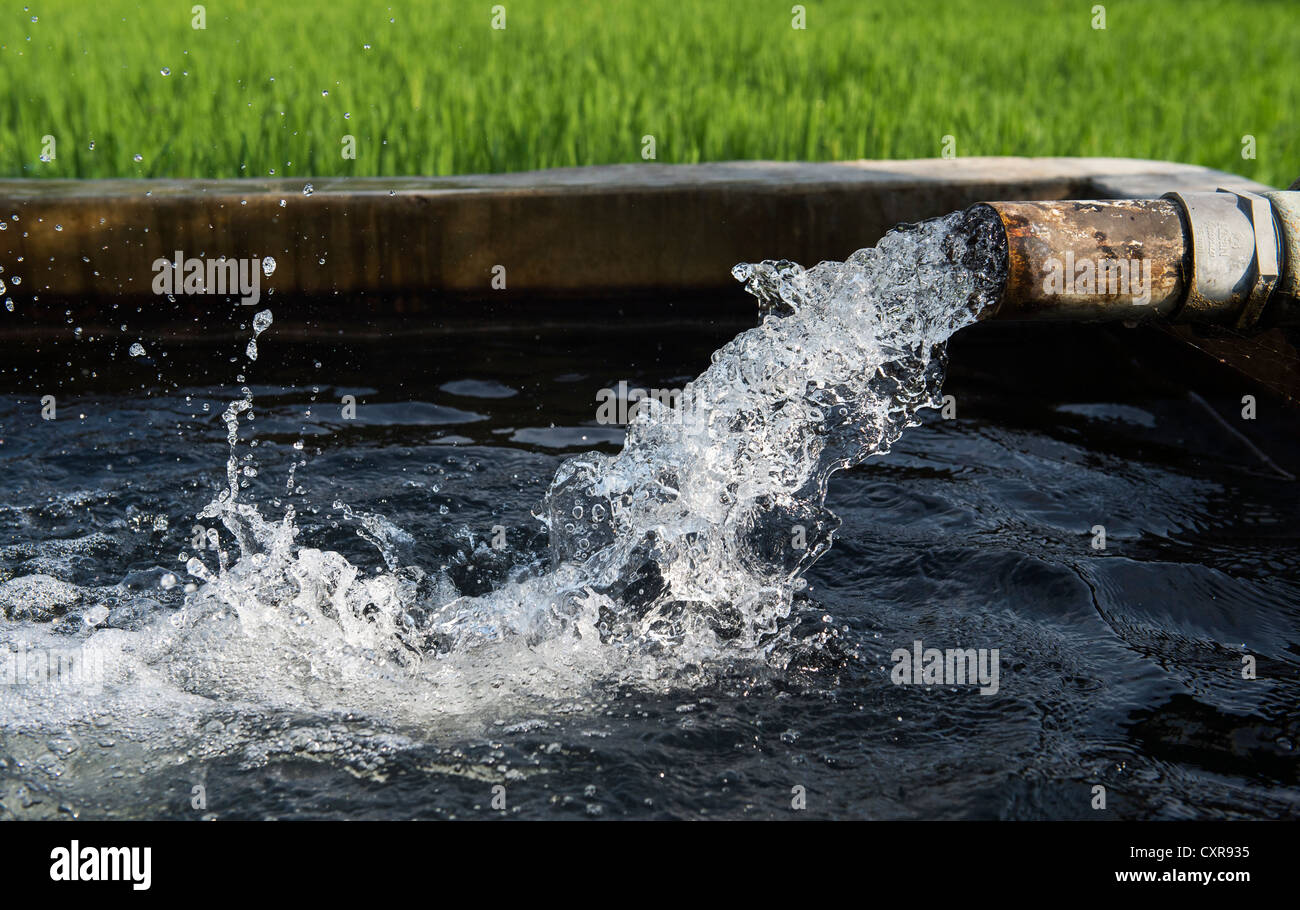 Acqua pompata ad un serbatoio di stoccaggio prima di andare su un risone per irrigazione. Andhra Pradesh, India Foto Stock