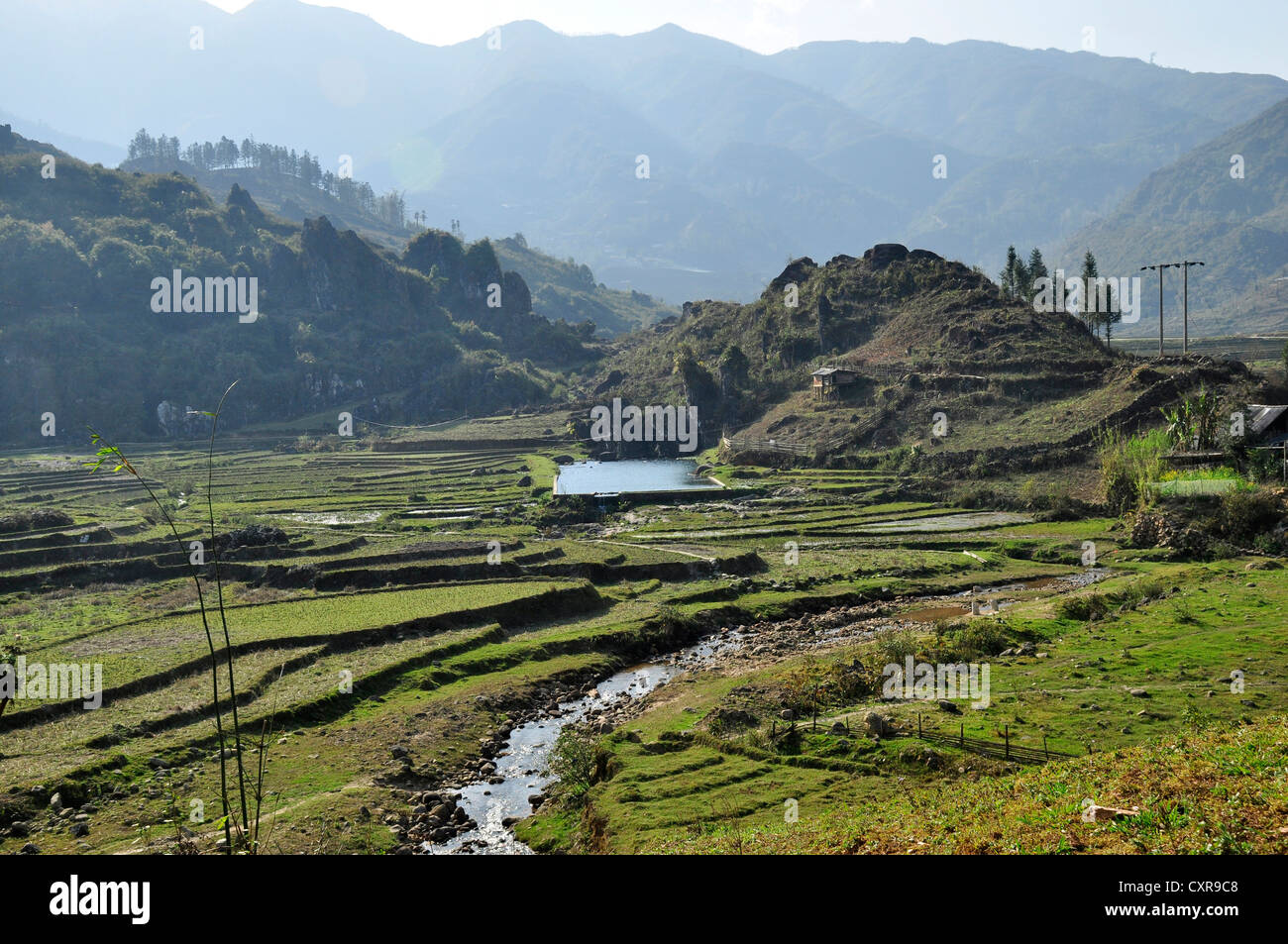 Paesaggio terrazzato vicino a Sa Pa, nel Vietnam del Nord, Vietnam, Asia sud-orientale, Asia Foto Stock