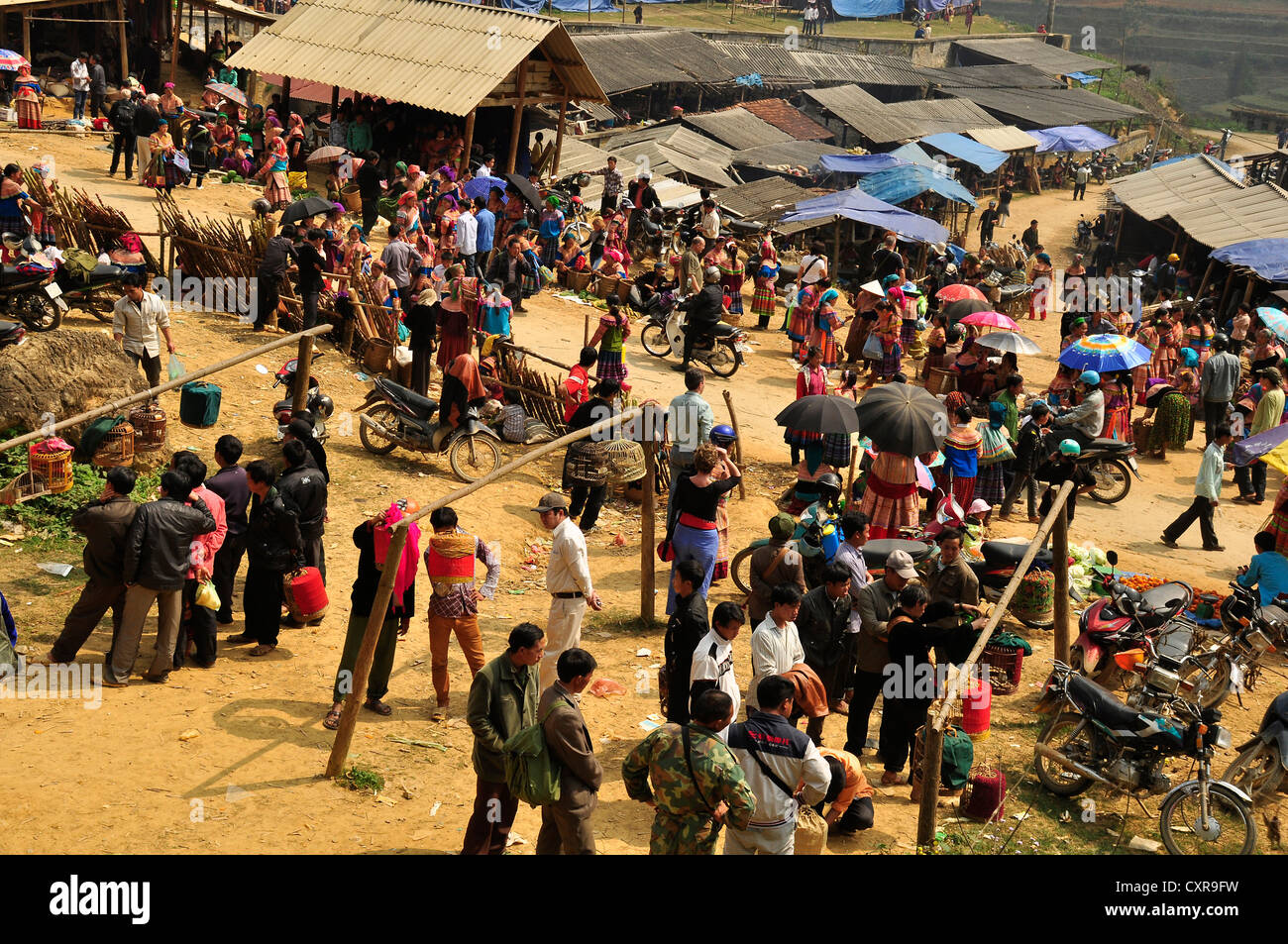 Mercato, i membri del fiore Hmong minoranza etnica, può cau, nel Vietnam del Nord, Vietnam, Asia sud-orientale, Asia Foto Stock