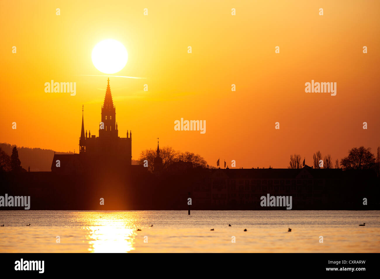 Cattedrale di costanza, Muenster, al tramonto, Costanza, costanza, Baden-Wuerttemberg, Germania, Europa PublicGround Foto Stock