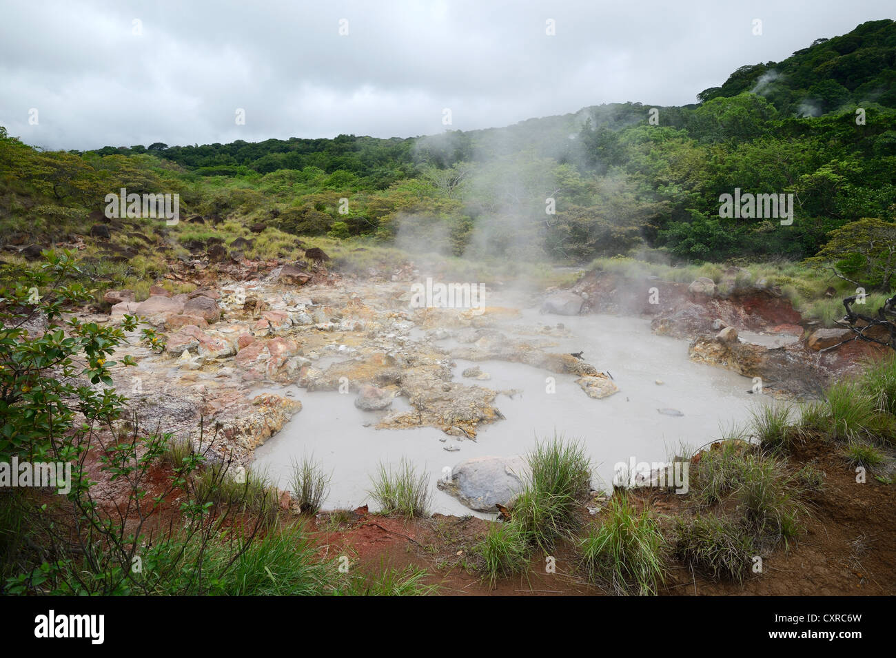 Pozze di fango calde, Rincón de la Vieja National Park, Guanacaste in Costa Rica, Sud America Foto Stock