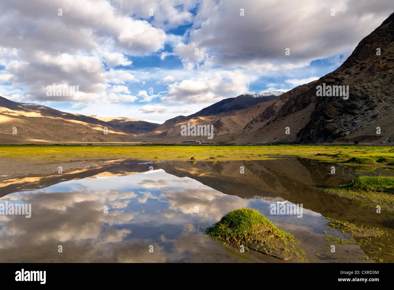 Riflessioni in un stagno di mattina, Ladakh, Nord India, India, Asia Foto Stock