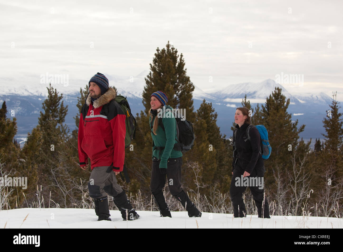 Gruppo di escursionisti nella neve, Takhini Valley dietro, Yukon Territory, Canada Foto Stock