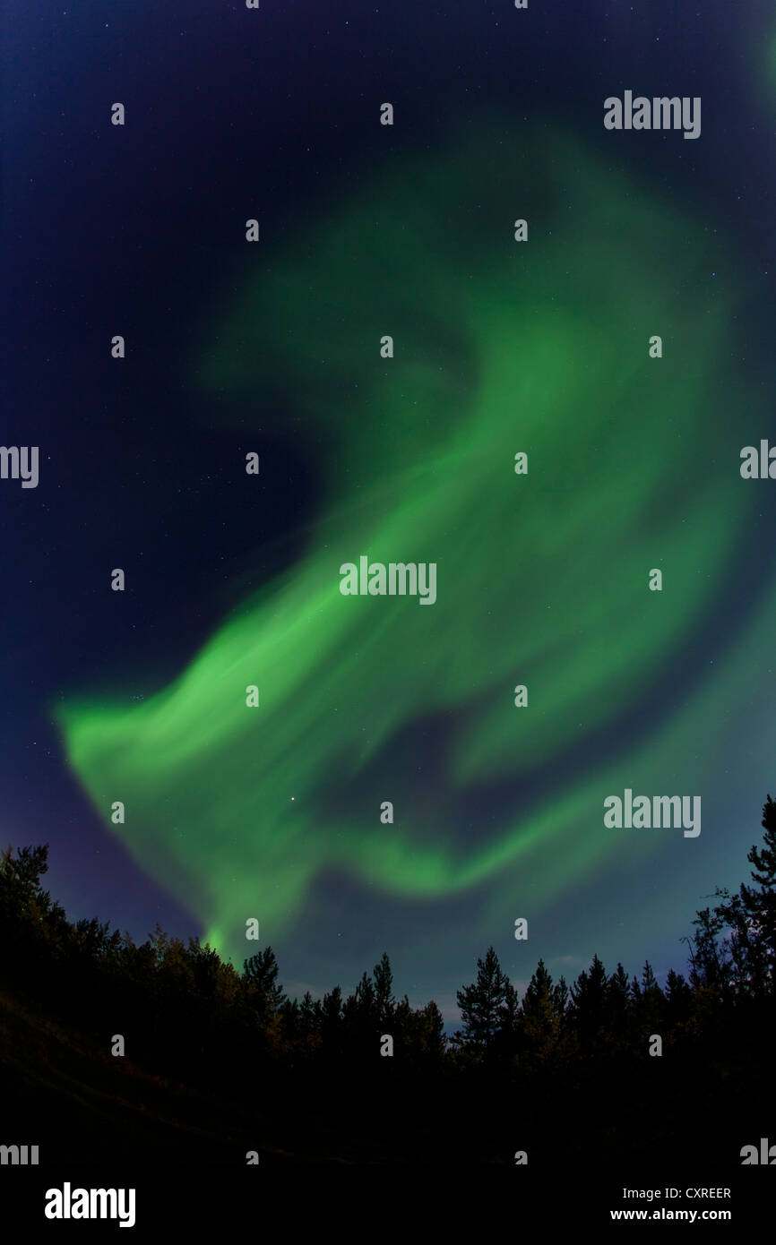 Verde di vorticazione polare settentrionale luci, Aurora boreale, vicino a Whitehorse, Yukon Territory, Canada Foto Stock