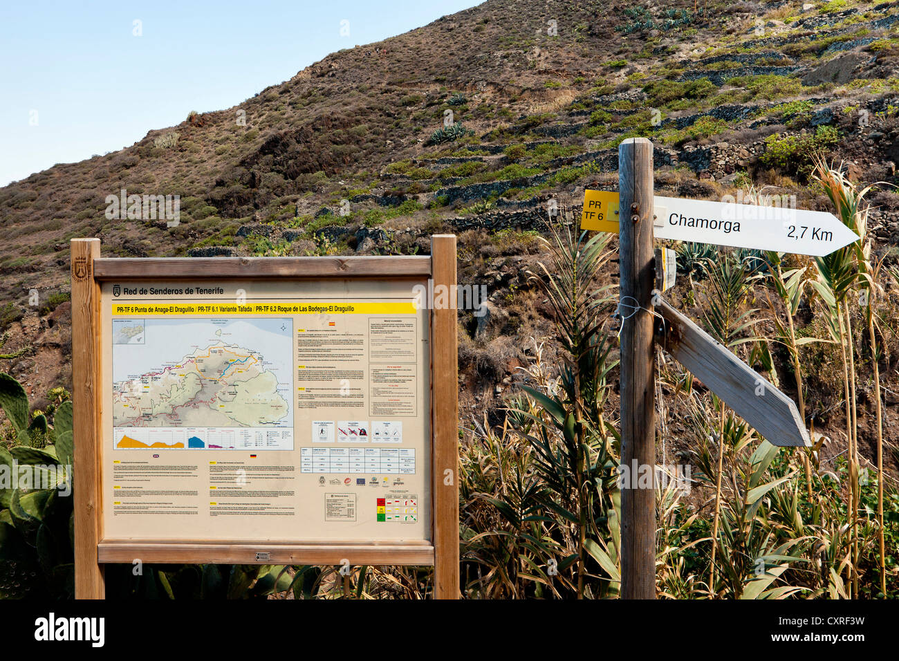 Sentiero escursionistico, segnaletica e cartelli, montagne di Anaga, nordest Tenerife, Isole Canarie, Spagna, Europa Foto Stock