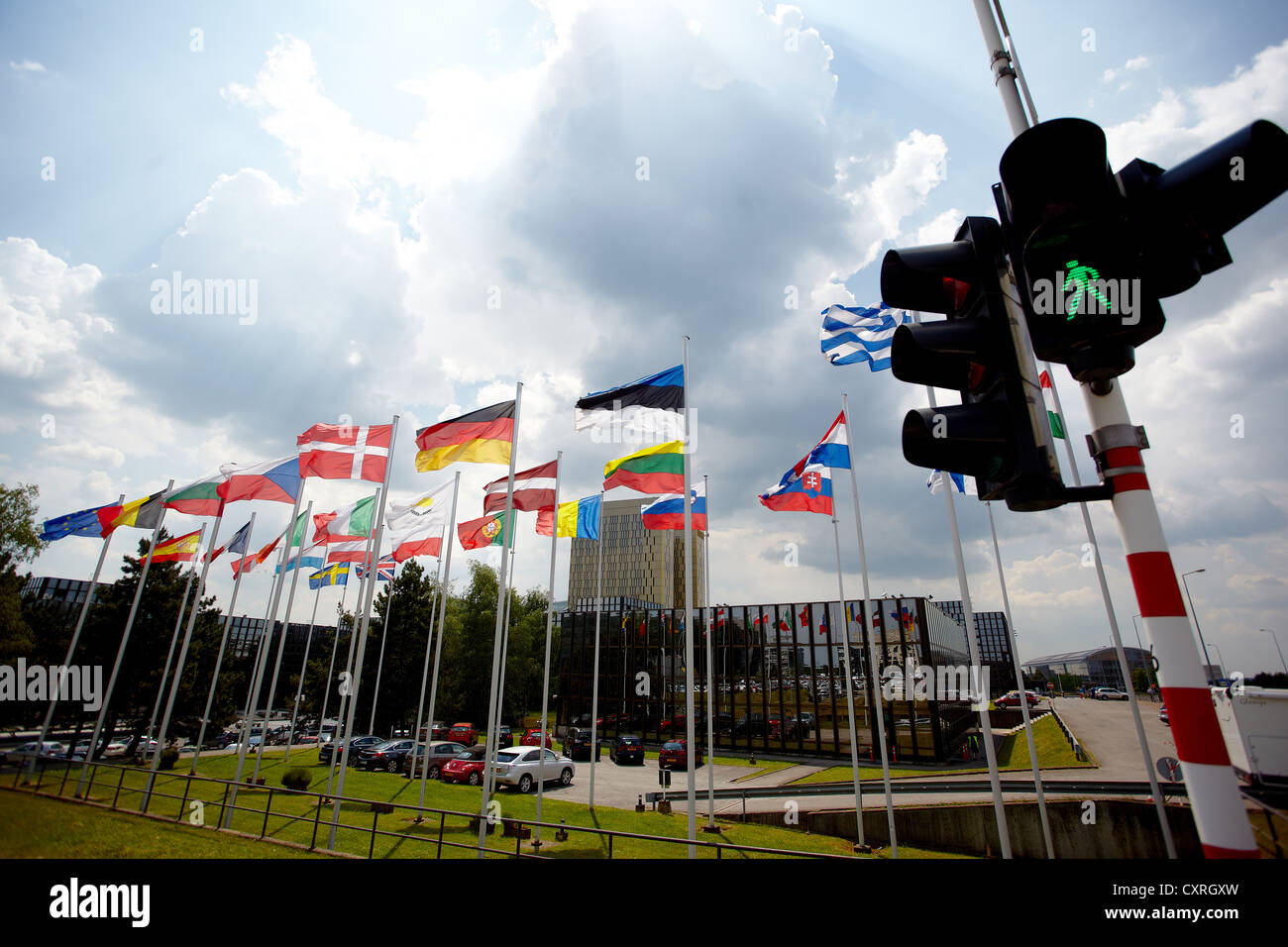 Il verde il semaforo di fronte alla bandiere nazionali degli Stati membri dell'Unione europea, edificio del Parlamento Foto Stock