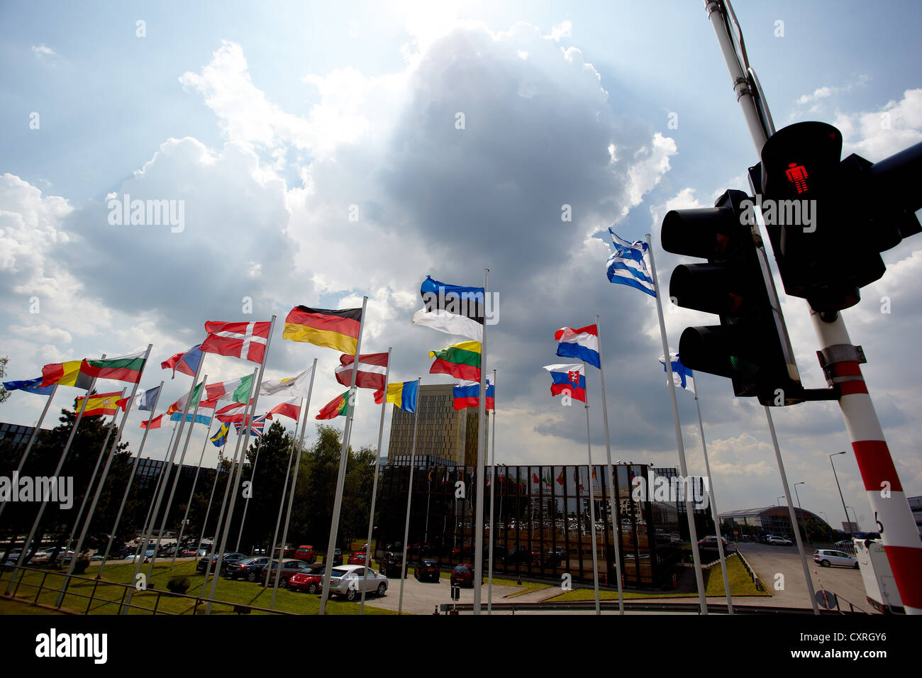 Rosso il semaforo di fronte alla bandiere nazionali degli Stati membri dell'Unione europea, edificio del Parlamento Foto Stock