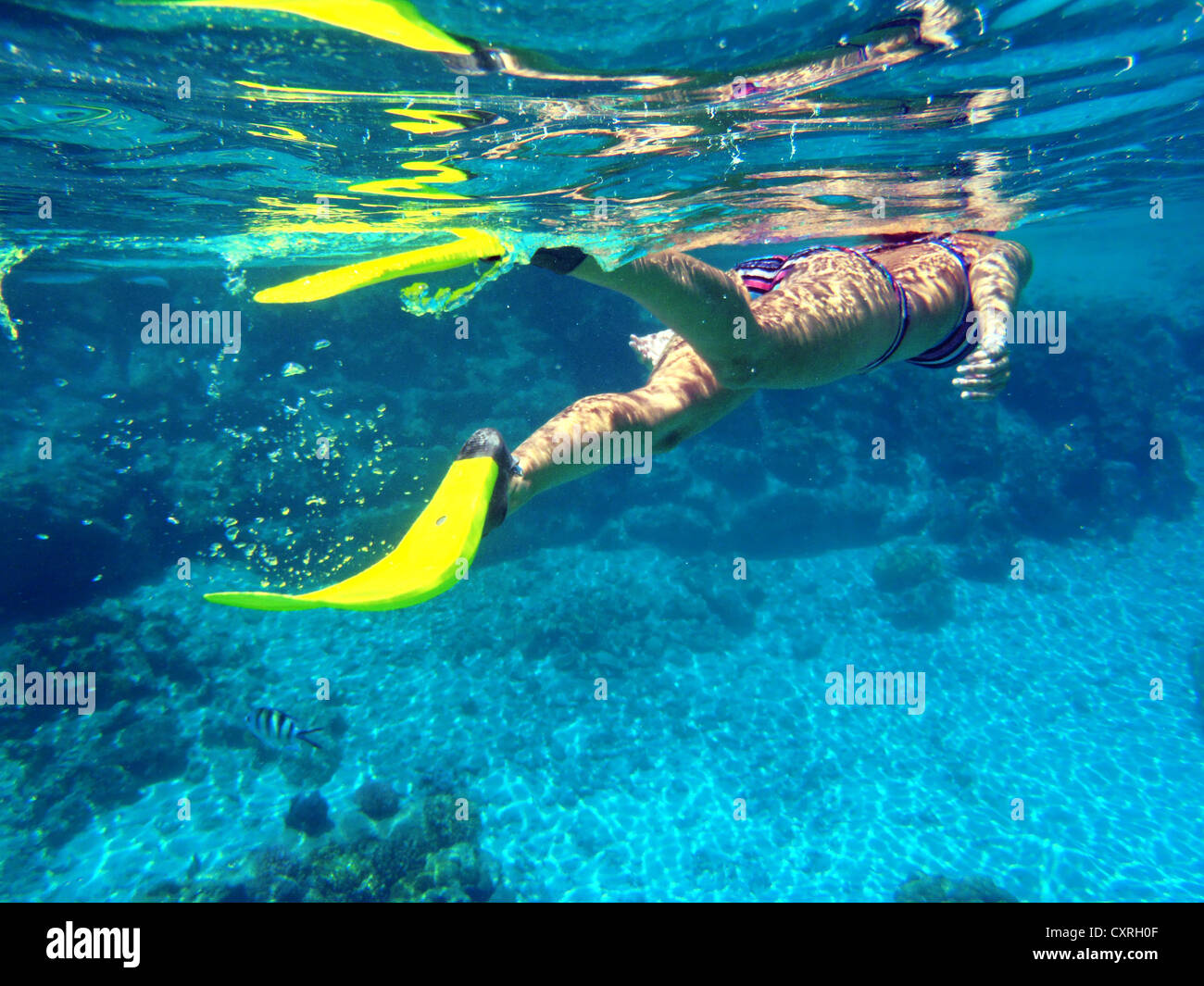 Snorkeller, Bora Bora, Leeward Islands, Isole della Società, Polinesia francese, Oceano Pacifico Foto Stock