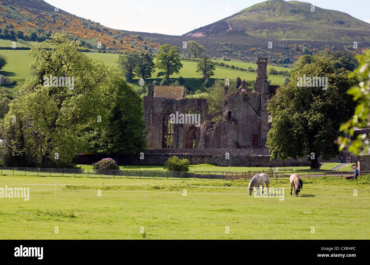 Melrose Abbey con il Eildon Hills in background Scottish Borders Scotland Foto Stock