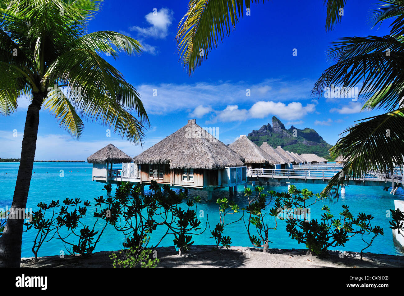 Il St. Regis Bora Bora Resort, Bora Bora, Leeward Islands, Isole della Società, Polinesia francese, Oceano Pacifico Foto Stock