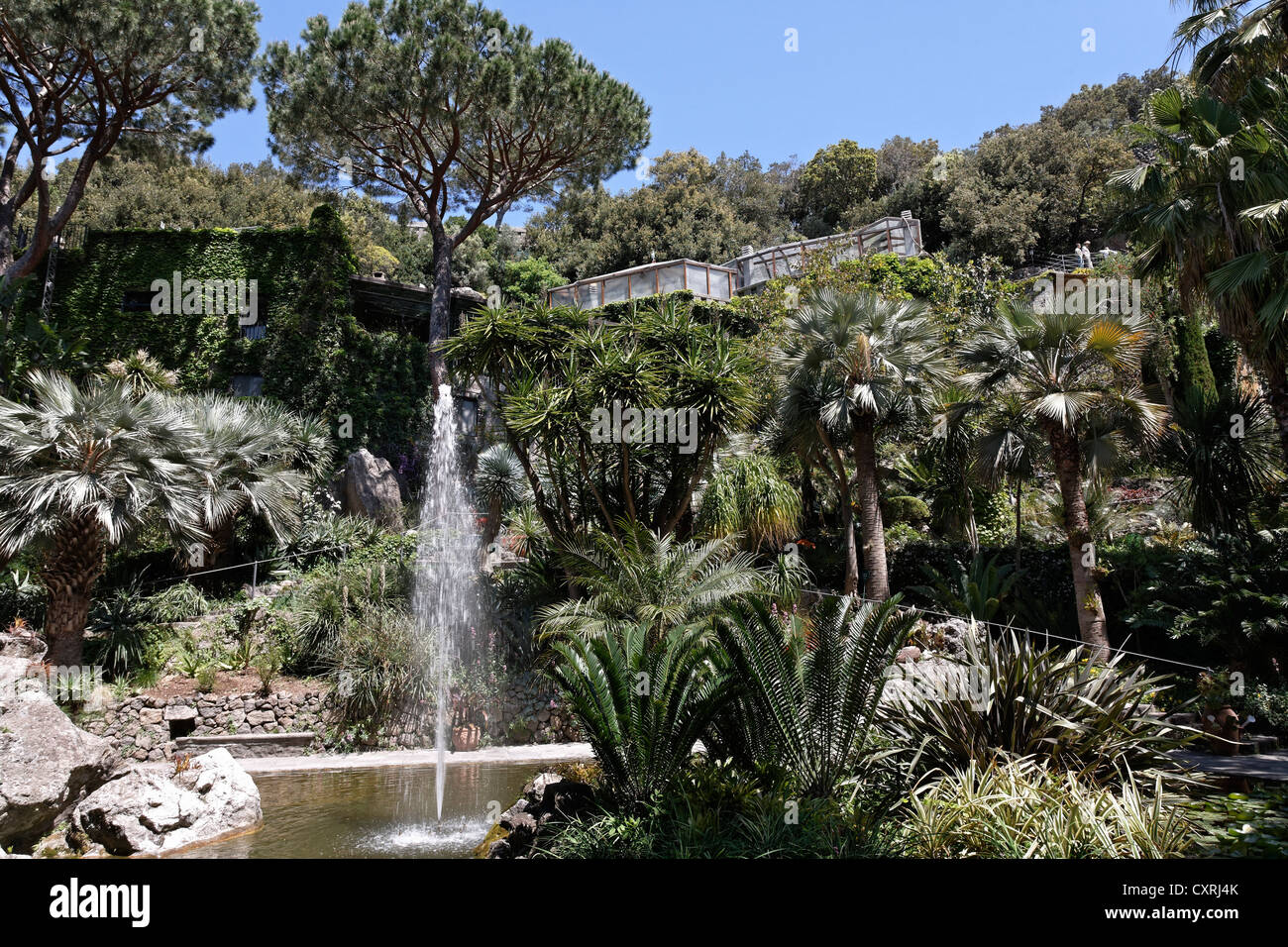 La Mortella Giardini Mediterranei Di Sir William Walton Forio Isola D Ischia Golfo Di Napoli Campania Italia Meridionale Italia Foto Stock Alamy