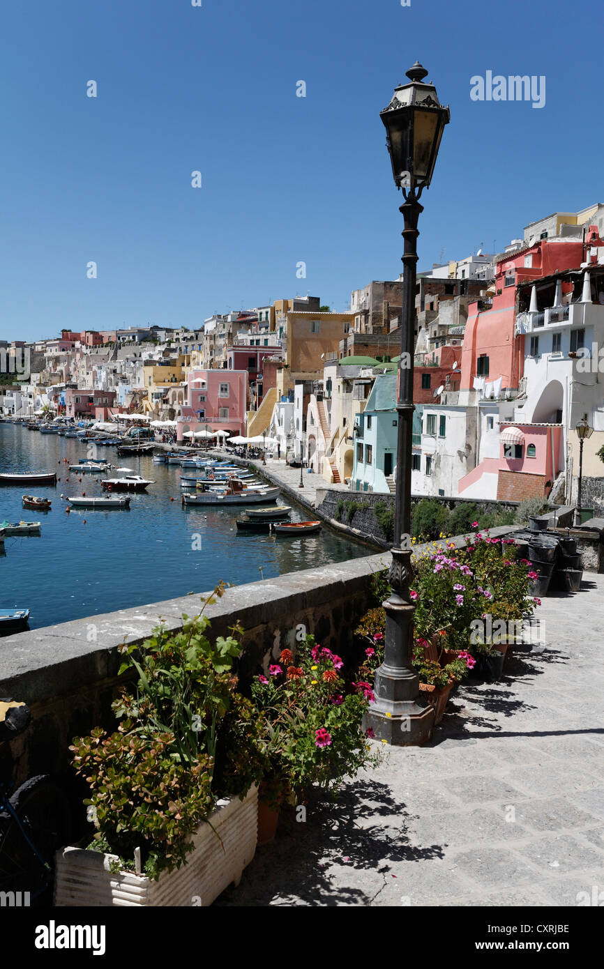 Porto dei Pescatori di Marina di Corricella, Isola di Procida, il Golfo di Napoli, Campania, Italia meridionale, Italia, Europa Foto Stock