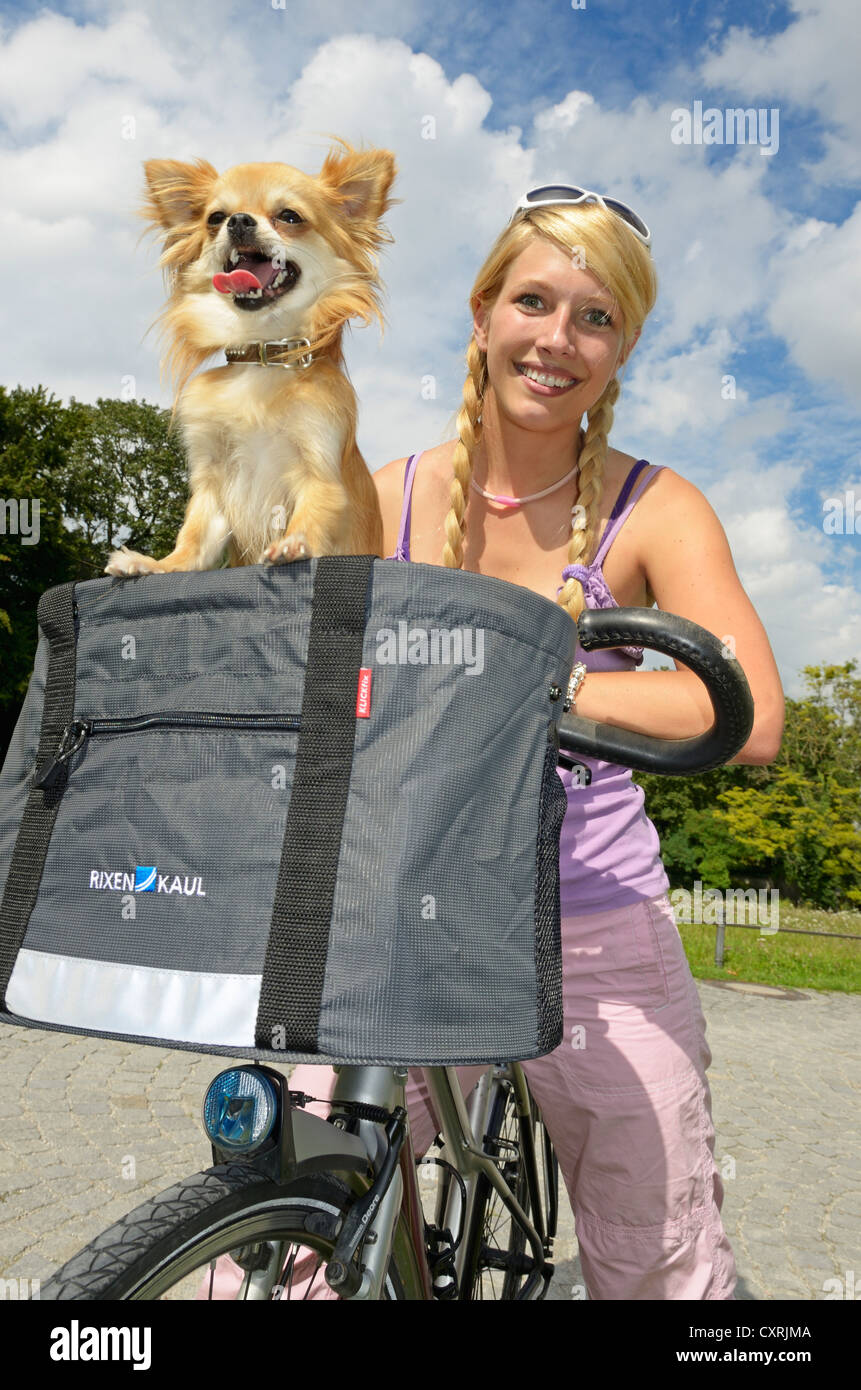 Donna con un chihuahua in un cestino bici Foto Stock