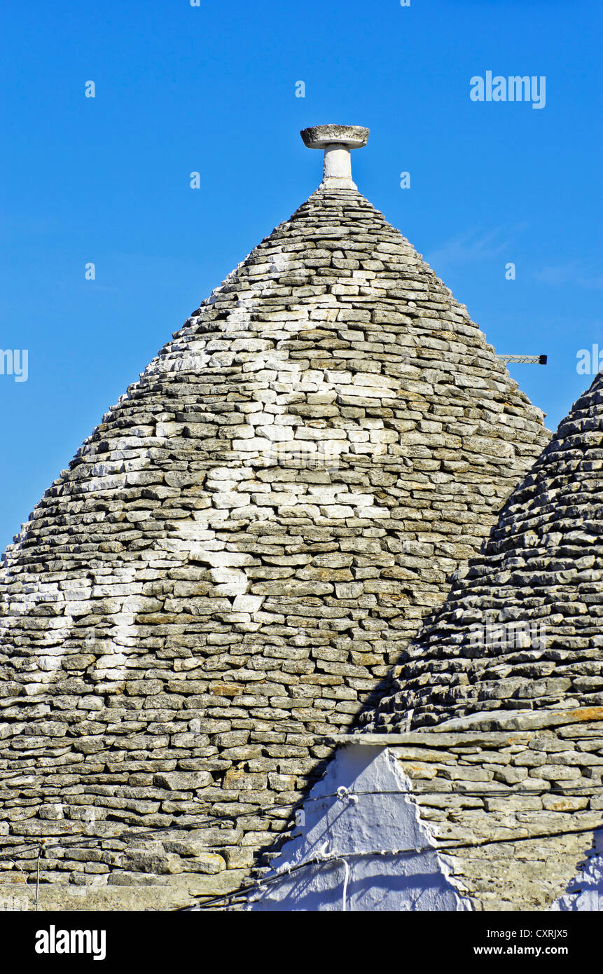 Tetto di un trullo, un tradizionale in pietra a secco capanna con un tetto conico, nel villaggio di Alberobello Puglia, Italia, Europa Foto Stock
