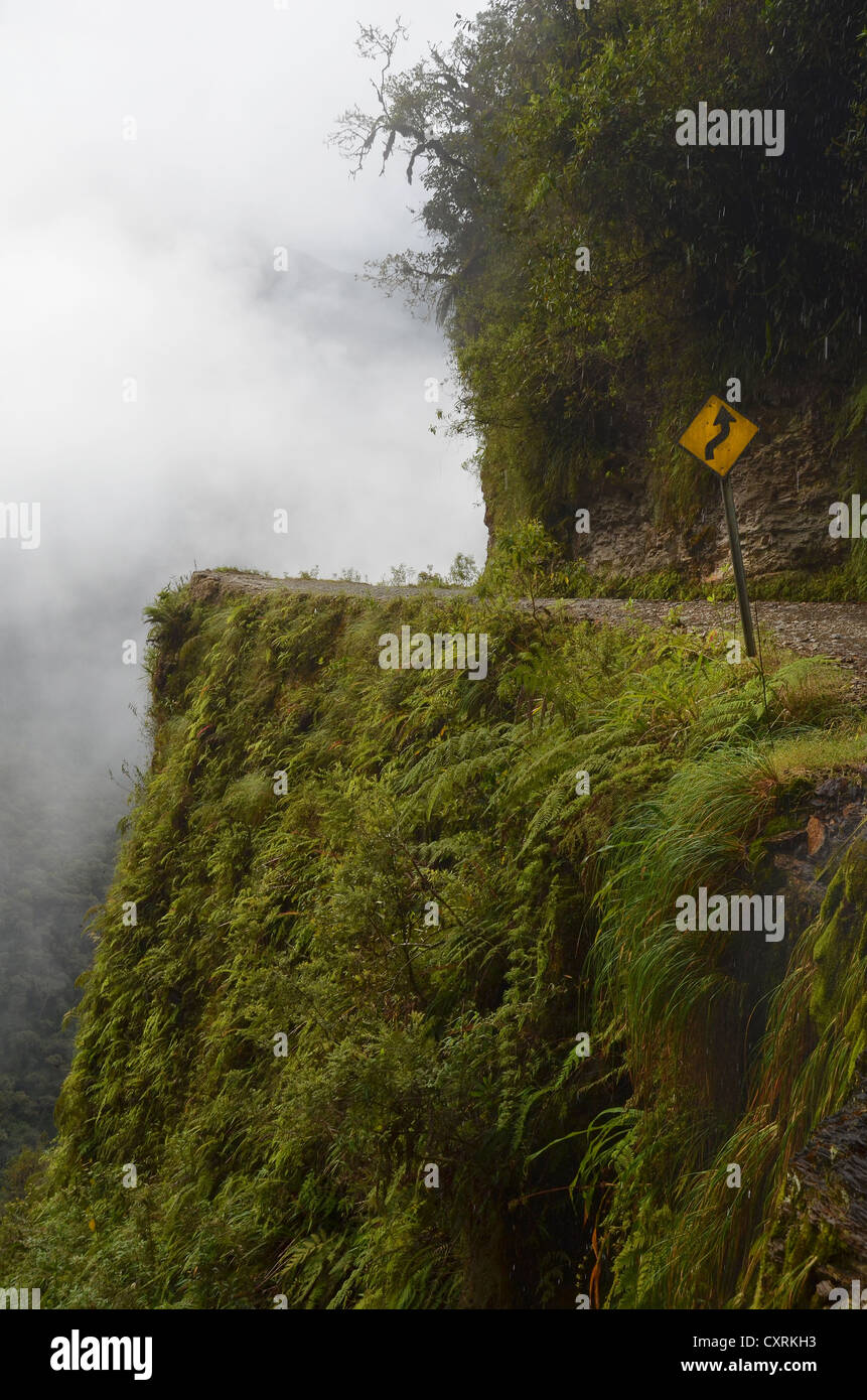 Camino de la muerte, morte road, la strada molto pericolosa in tutto il mondo, nei pressi di La Paz, Bolivia, SUD AMERICA Foto Stock
