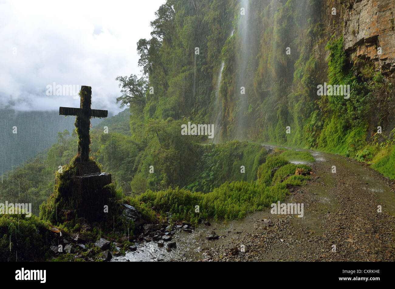 Camino de la muerte, morte Road, la strada molto pericolosa in tutto il mondo, con un crash vittima's Memorial croce, nei pressi di La Paz Foto Stock
