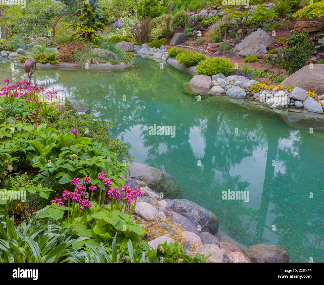 Vashon-Maury Island, WA: acqua salata piscina circondata dal bosco giardino perenne Foto Stock