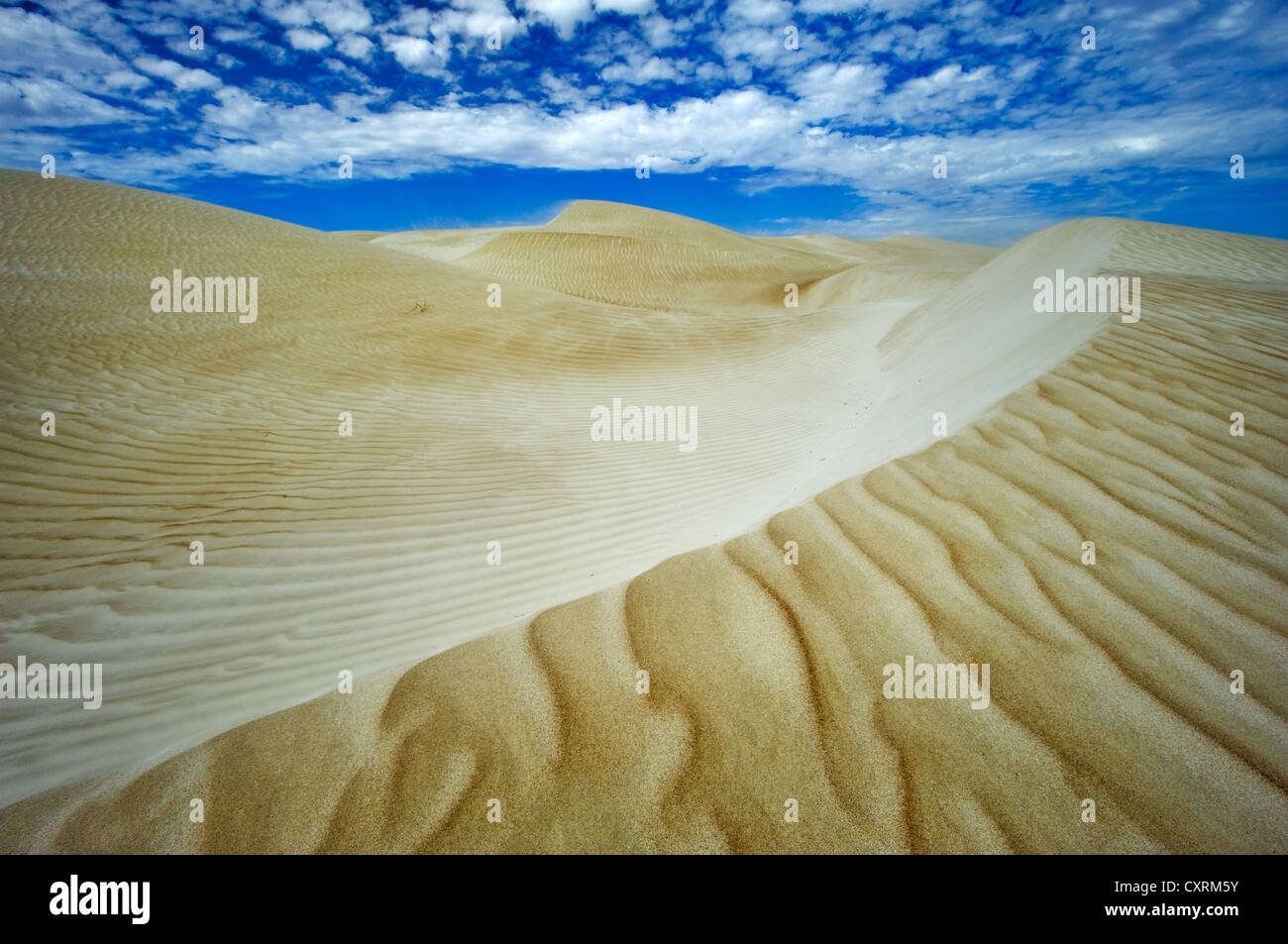 Cactus Beach dune di sabbia sotto un cielo di nuvole. Foto Stock