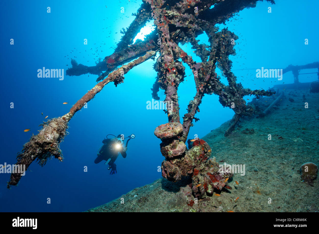 Subacqueo con una videocamera, sovrastruttura al naufragio, cisterna, S.S. Turbo, build 1912, affondò il 4/4/1942 durante la Seconda Guerra Mondiale Foto Stock