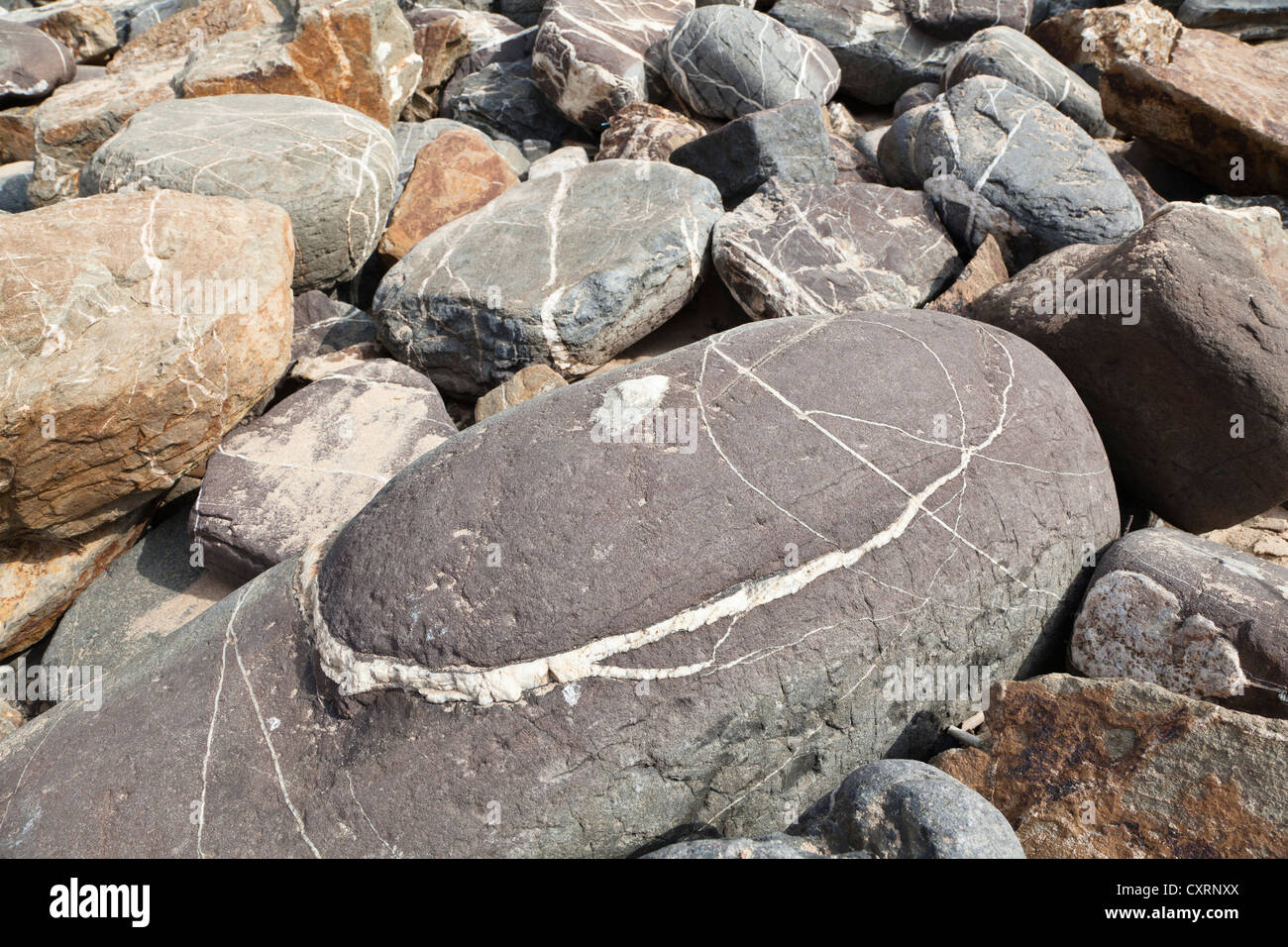 Vene di quarzo nelle rocce, costa atlantica, Portogallo, Europa Foto Stock