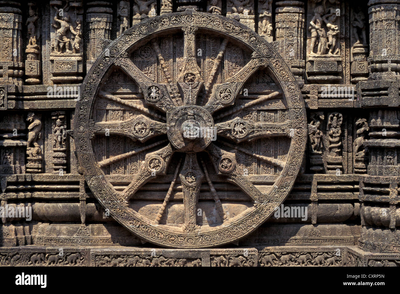 Ruota scolpito in pietra, carro del vedica del dio del sole Surya, Surya Tempio o Tempio del Sole ,, Sito Patrimonio Mondiale dell'UNESCO, Konarak Foto Stock