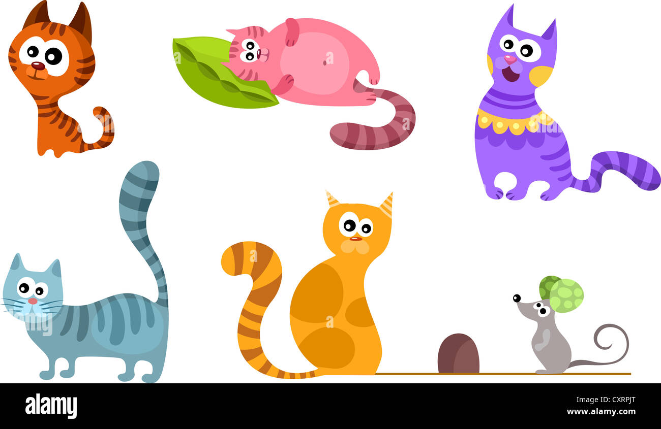 insieme del gatto Foto Stock