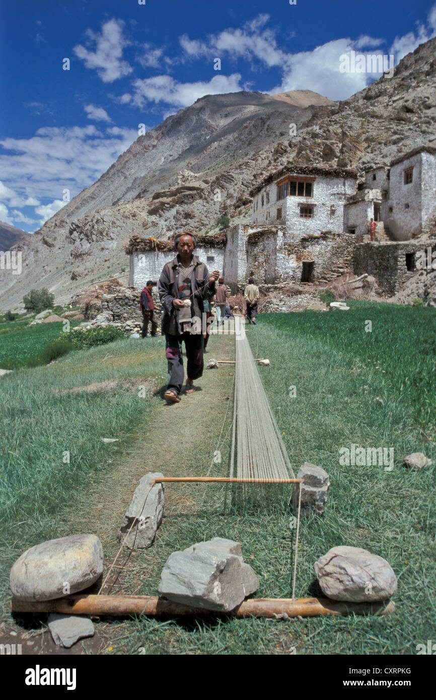 Il legno in lavorazione, agriturismo vicino a Purni, Zanskar, Ladakh Himalaya, Jammu e Kashmir India del Nord, India, Asia Foto Stock