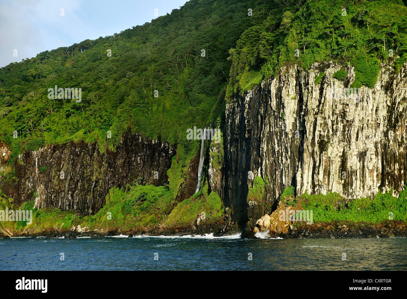 Foresta primaria e cascate sulla costa, Cocos Island, Costa Rica, America Centrale Foto Stock