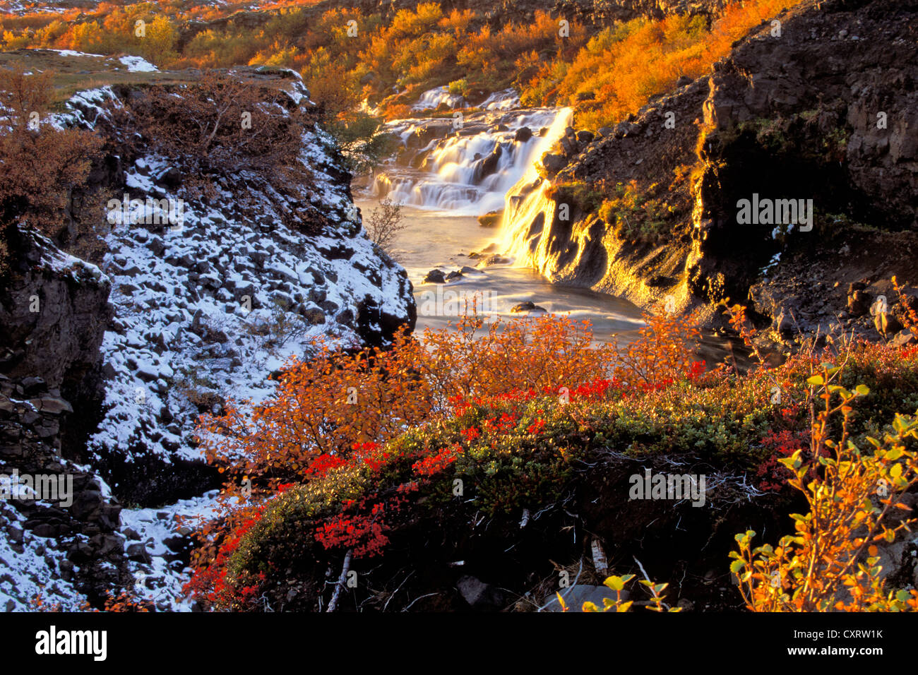 In autunno, Hraunfossar cascate sul fiume Hvítá, Vesturland, West Islanda, Islanda, Europa Foto Stock