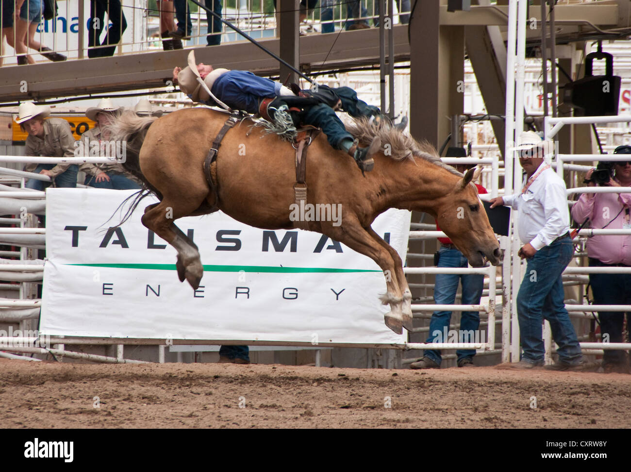 Bronc andando airborne in Bareback evento presso il centesimo anniversario Calgary Stampede 2012 rodeo concorrenza Foto Stock