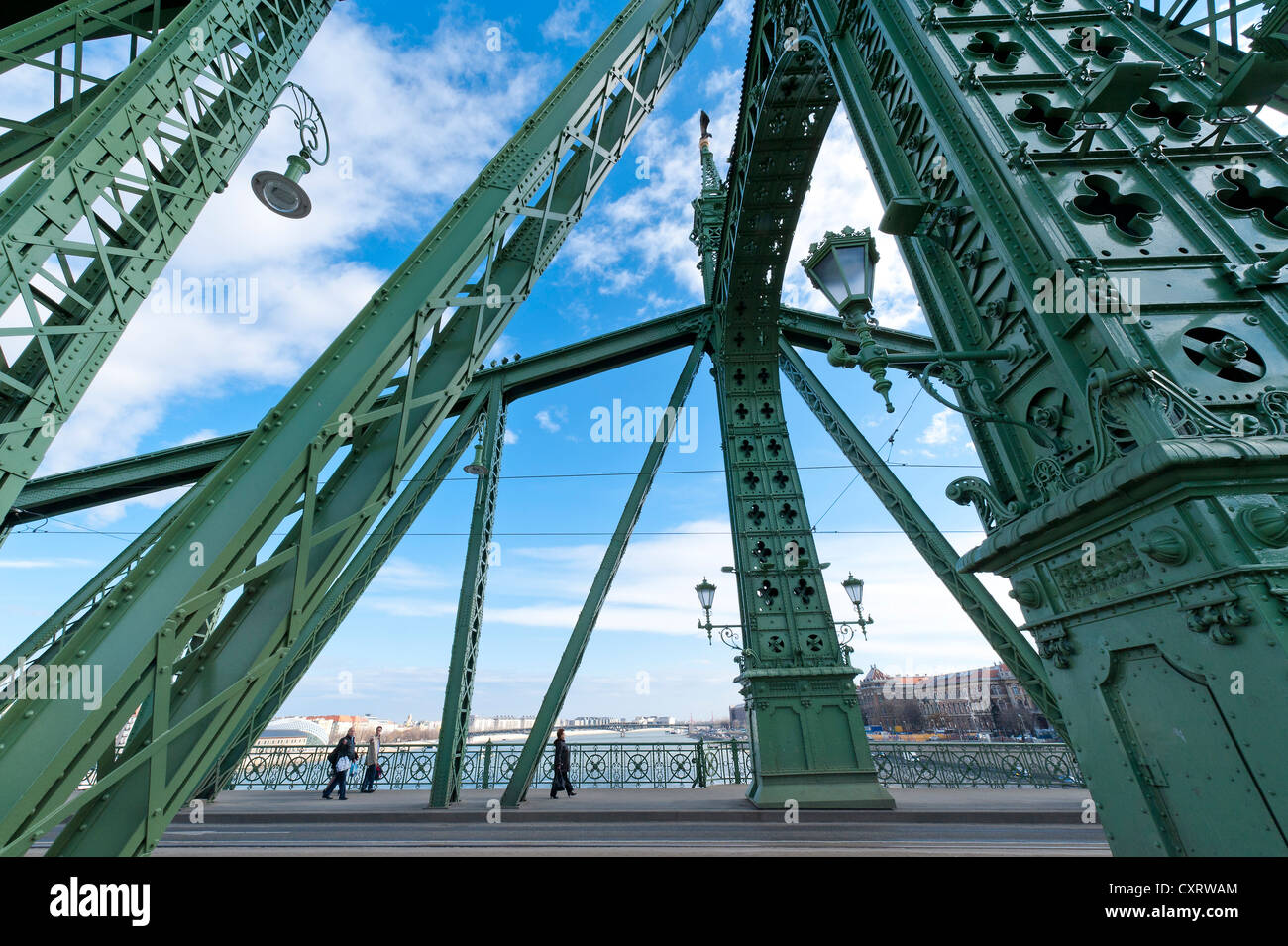 Ponte della Libertà, il fiume Danubio, Budapest, Ungheria, Europa Foto Stock