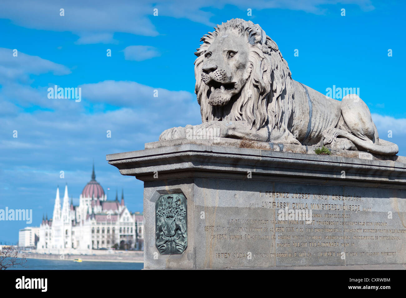 Széchenyi Lánchíd, il Ponte della Catena con un leone statua presso il server testa di ponte, il fiume Danubio, Budapest, Ungheria, Europa Foto Stock