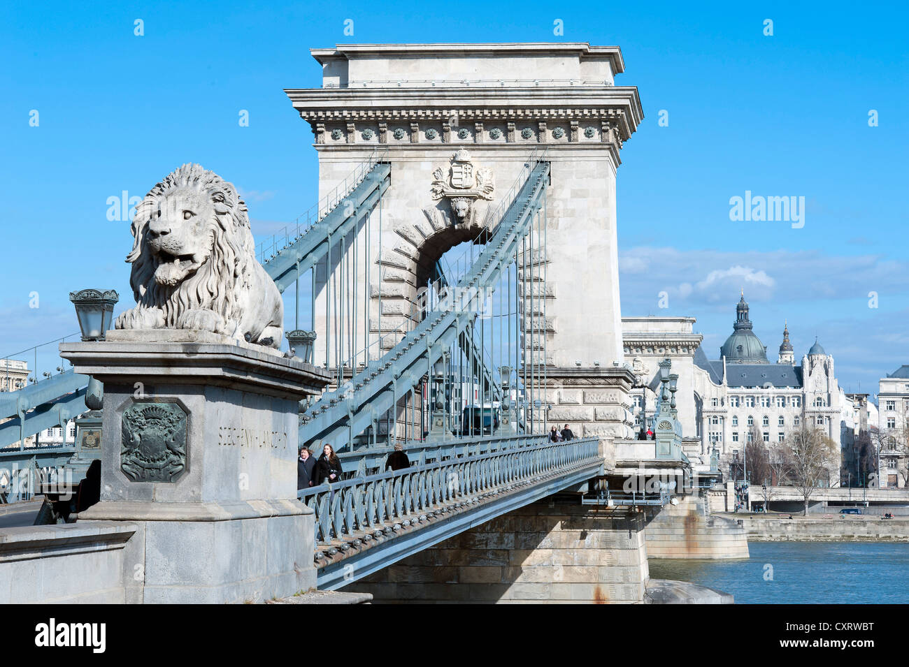 Széchenyi Lánchíd, il Ponte della Catena con un leone statua presso il server testa di ponte, il fiume Danubio, Budapest, Ungheria, Europa Foto Stock