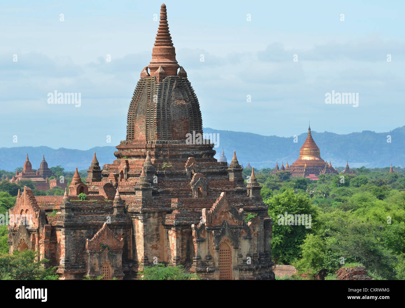 Campo pagoda, templi, Zedi, Old Bagan, Bagan, pagano, Myanmar, Birmania, Asia Foto Stock