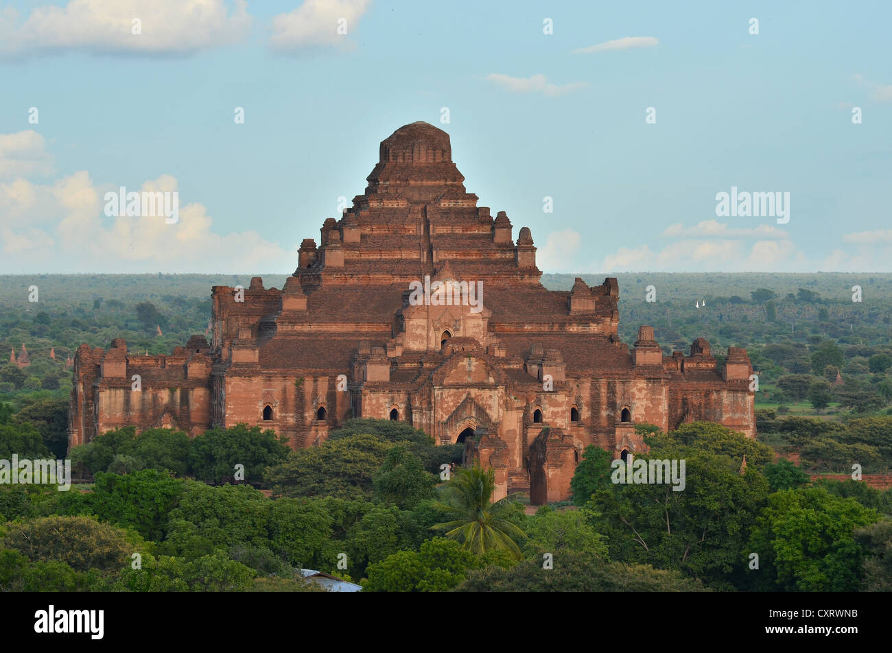 Dhammayangyi Pahto, tempio, pagoda, Bagan, MYANMAR Birmania, Asia sud-orientale, Asia Foto Stock